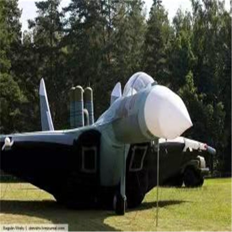 达州充气模型飞机制造商家